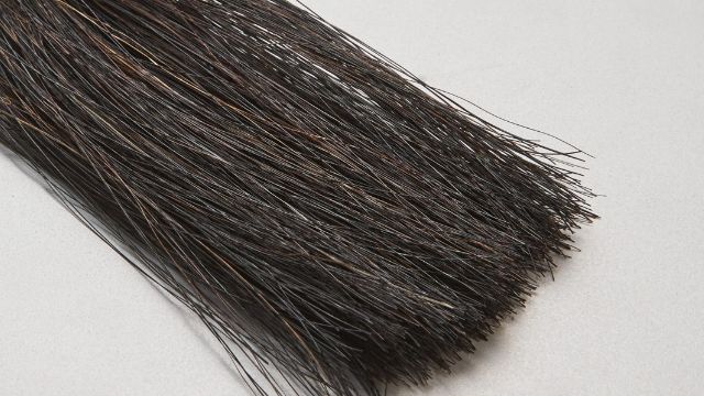 ขนม้า - Horse Hair 